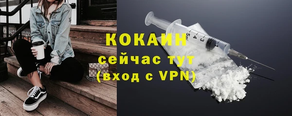 шишки Белоозёрский