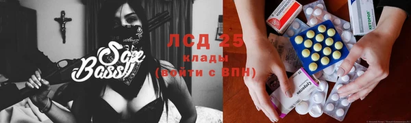 шишки Белоозёрский