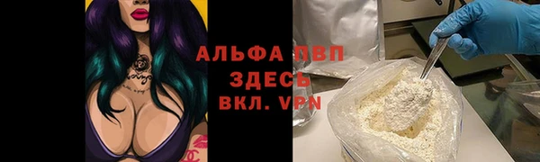 эйфоретик Белокуриха