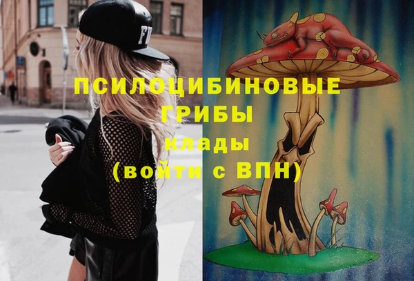 шишки Белоозёрский