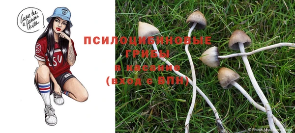 MDMA Premium VHQ Беломорск