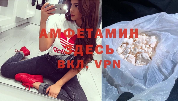 шишки Белоозёрский