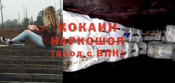 шишки Белоозёрский