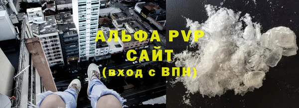 шишки Белоозёрский