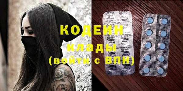 шишки Белоозёрский