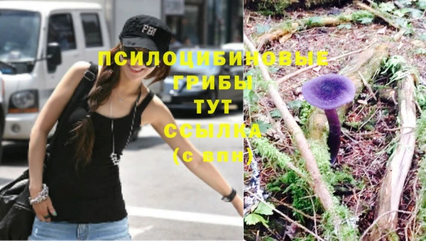 эйфоретик Белокуриха