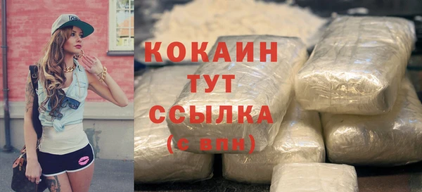 шишки Белоозёрский