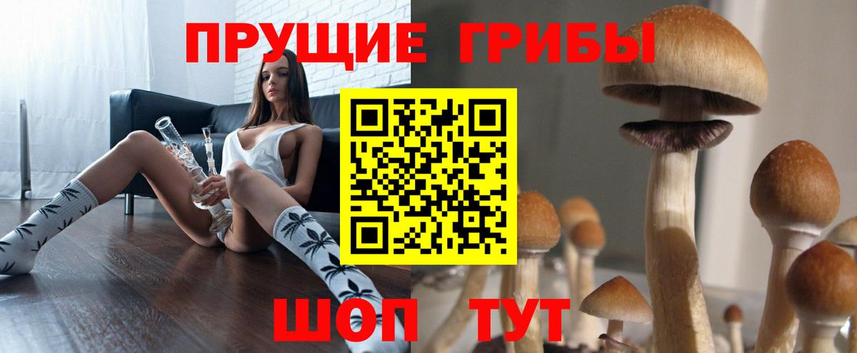 Галлюциногенные грибы прущие грибы Бутурлиновка